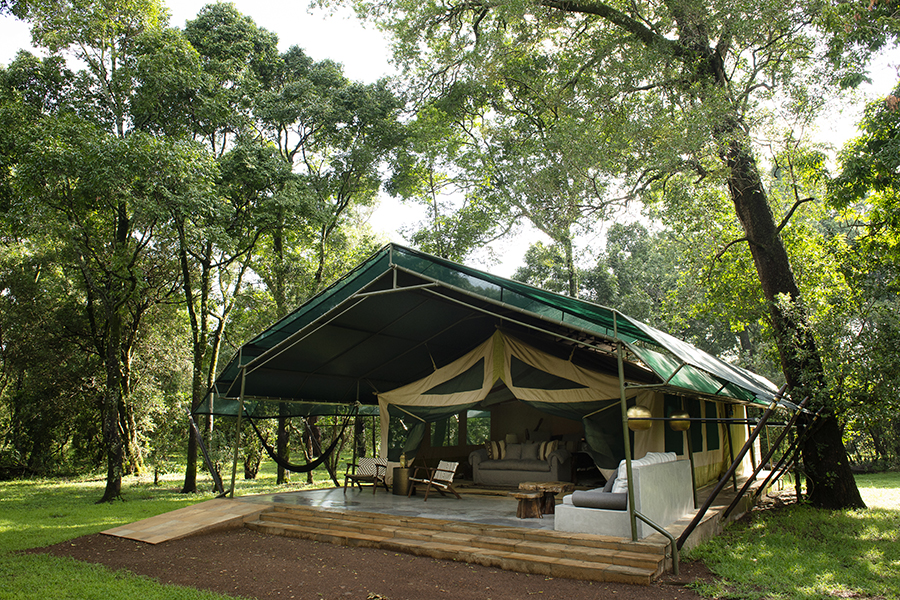 Intimate tented camp, situated within a forested area of the Masai Mara.