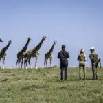 Safaris a pie.