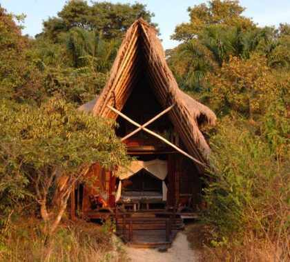 The luxurious tented suites are set under thatched roofs and shaded by palm groves.
