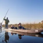 Explore and enjoy water-based game tracking on a mokoro excursion with your skilled guide.
