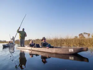 Explore and enjoy water-based game tracking on a mokoro excursion with your skilled guide.
