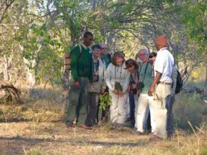 Guided nature walks are the perfect way to experience the wilderness on an intimate and personal level.
