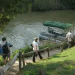 Take a river cruise for a different safari perspective. 