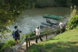 Take a river cruise for a different safari perspective. 