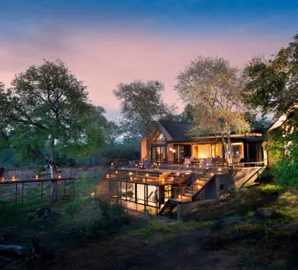 Dese un capricho de lujo en el Lion Sands Ivory Lodge.