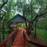 Exterior breakaway lounge at Jaci's Tree Lodge.