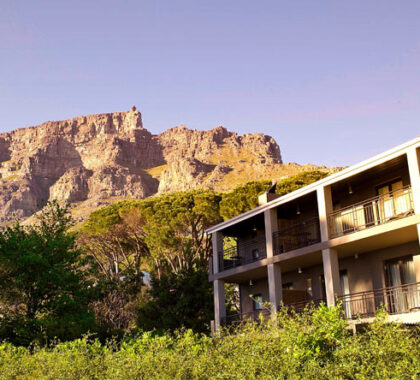 Table Mountain is just a short drive away, one of many attractions for you to experience in Cape Town.
