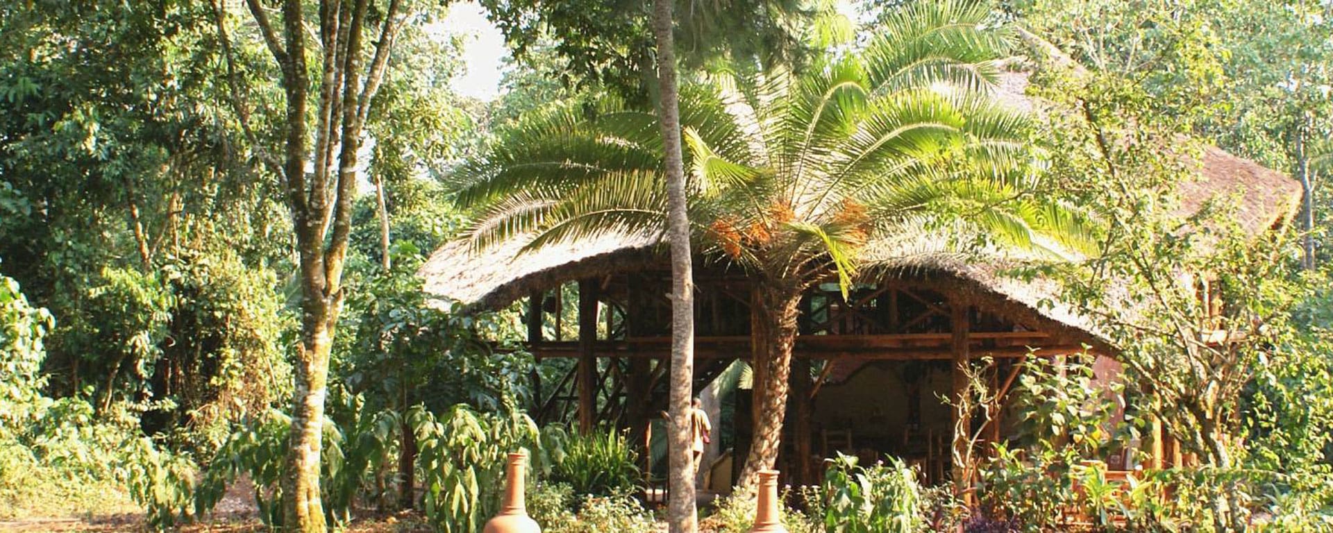 Kibale Forest Camp, Kibale Forest, Uganda | Go2Africa