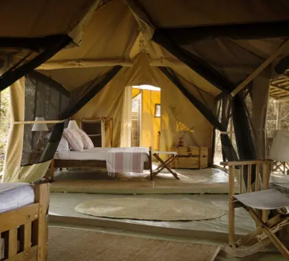 Bedroom and living area