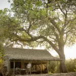 Exterior de la habitación del campamento Kigelia