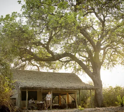 Exterior of the Kigelia camp bedroom
