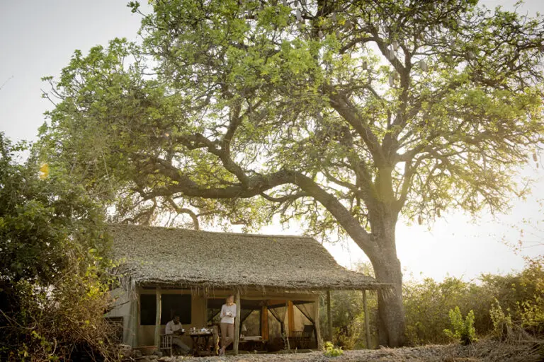 Exterior de la habitación del campamento Kigelia