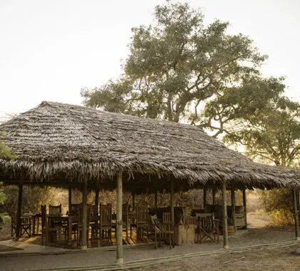Exterior of the main area at Kigelia camp