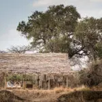 Zona principal exterior del campamento Kigelia