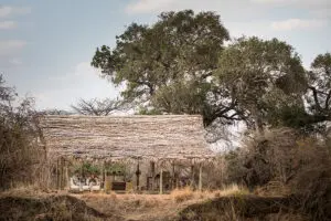 Zona principal exterior del campamento Kigelia