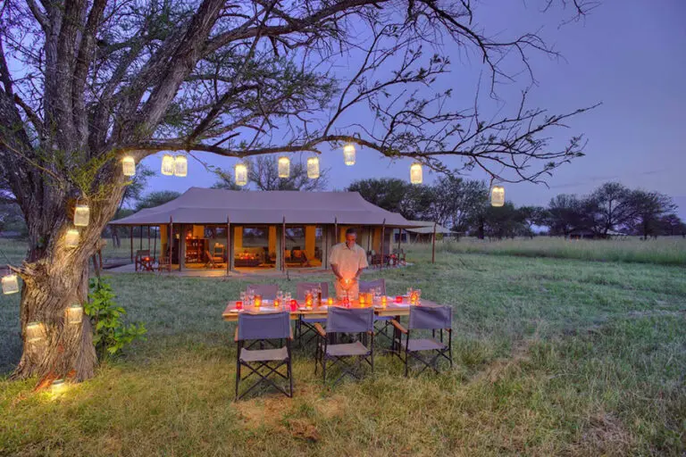 Dine under the stars at Kimondo Migration Camp.