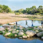 Explore la reserva a pie con guías profesionales formados. 
