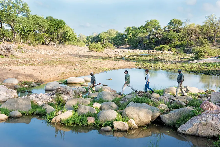 Explore la reserva a pie con guías profesionales formados. 