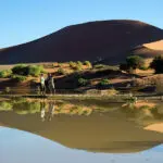 Trail Walks at Kulala desert lodge