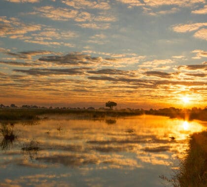 kwando-lagoon-sunset-camp-755