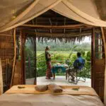 Lango Camp room with a view of the surrounding rainforest.