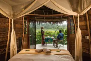 Lango Camp room with a view of the surrounding rainforest.