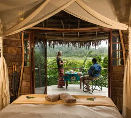 Habitación del Lango Camp con vistas a la selva tropical circundante.