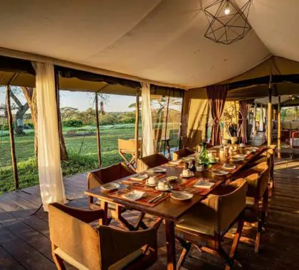 lemala-mara-dining_1