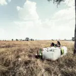 Offering excellent views of the bush.