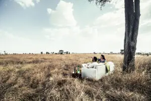 Offering excellent views of the bush.
