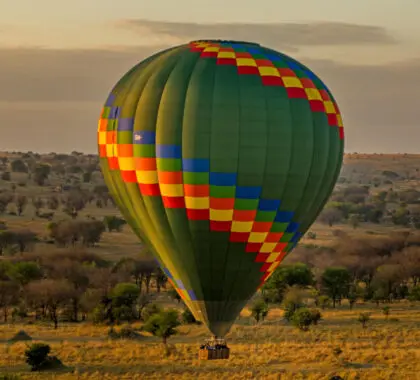 lemala_mara_hot-air-balloon