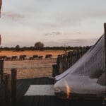 Sleep under the stars in Linkwasha Camp's sleepout hide.