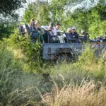 Big 5 sightings on daily game drives.