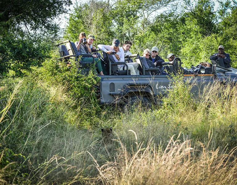 Big 5 sightings on daily game drives.