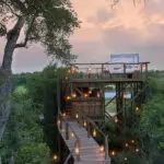 Book an overnight at the Tinyeleti Treehouse.