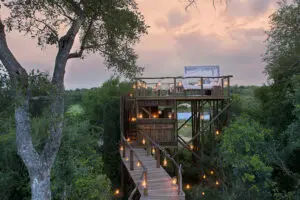Book an overnight at the Tinyeleti Treehouse. 