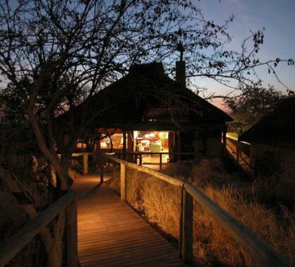 Little Ongava Camp - suite exterior