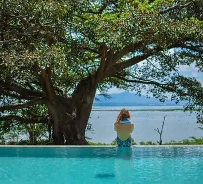 Vistas desde la piscina.