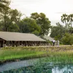 Guests being welcomed by the staff at Gomoti Plains Camp.