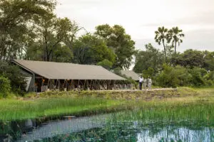 Guests being welcomed by the staff at Gomoti Plains Camp.
