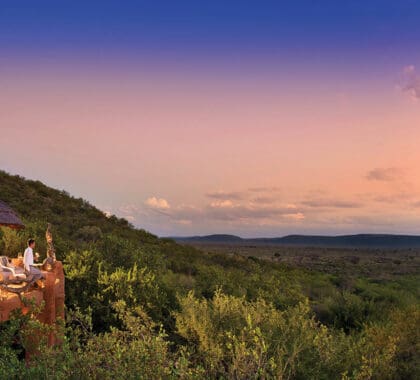 madikwe-safari-lodge-5315