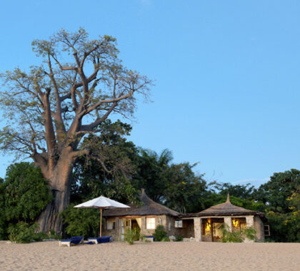 Tucked under shady trees, Kaya Mawa's cottages are set right on the shores of Lake Malawi.