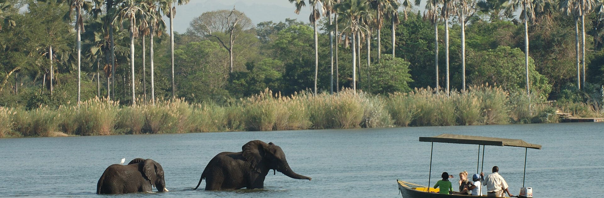 Malawi's Liwonde Safari Likomo Island Go2Africa