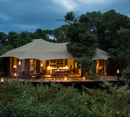 Enjoy your very own private luxury tented camp in the Olare Motogori Conservancy, on the northern border of the Masai Mara National Reserve.