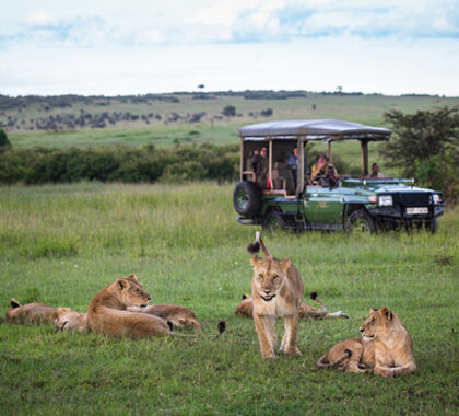 Expect personalised guides and spectacular game viewing in an area rich in wildlife, and is particularly good for predators.