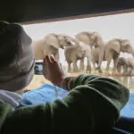 Get close up to big game on 4x4 drives, or participate in activities like biking, birding, guided walks and cultural tours.
