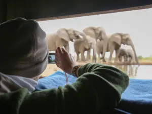 Get close up to big game on 4x4 drives, or participate in activities like biking, birding, guided walks and cultural tours.
