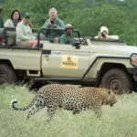 Located in a private game reserve so thrilling sightings of big game will be crowd-free.