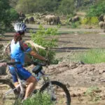 Cycling and biking expeditions take you into big game territory.