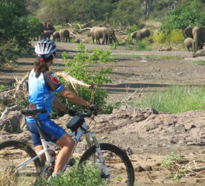 Cycling and biking expeditions
